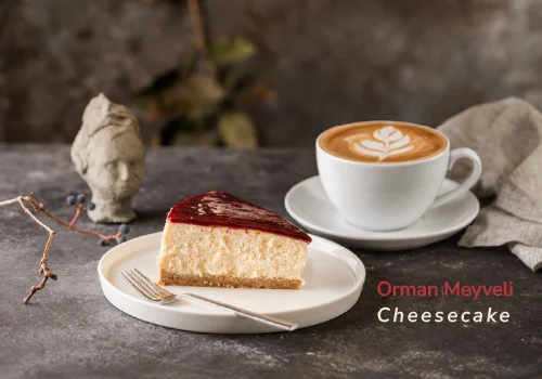 Classic Web Ana Sayfa Banner